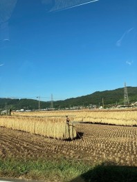 季節の