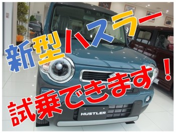 ☆　★新型ハスラー試乗できます！！★　☆
